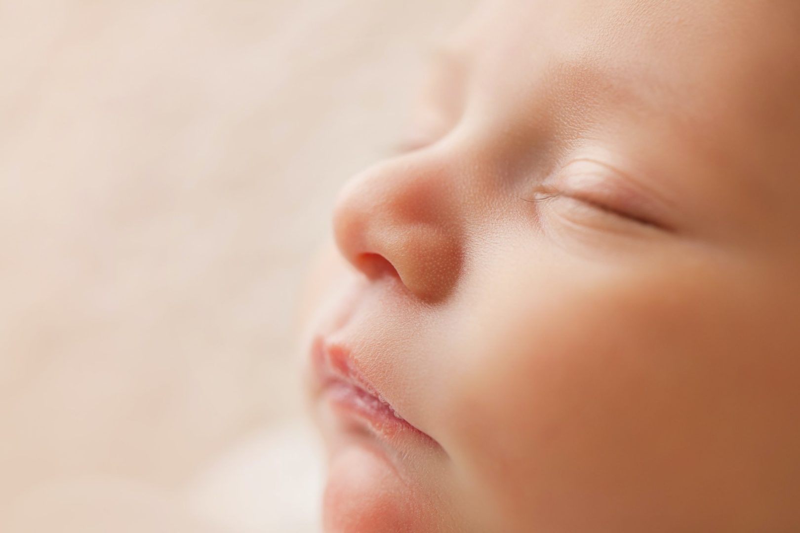 Newborn Infant Sleep